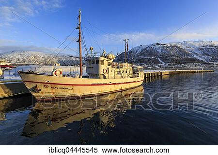 Former rescue boat, now sightseeing boat Olav Ringdal, Tromso, Troms, Norway, Europe View Large Photo Image Stock Photography - Former rescue boat, now sightseeing boat Olav Ringdal, Tromso, Troms, Norway, Europe. Fotosearch