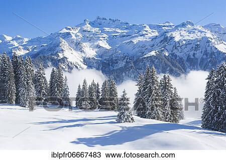 Freiberge Kärpf, Glarus Alps, Switzerland, Europe View Large Photo Image Stock Image - Freiberge Kärpf, Glarus Alps, Switzerland, Europe. Fotosearch