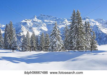 Stock Photograph - Freiberge Kärpf, Glarus Alps, Switzerland, Europe. Fotosearch