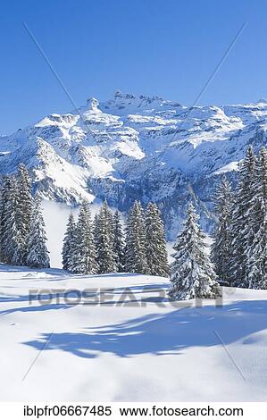 Stock Photography - Freiberge Kärpf, Glarus Alps, Switzerland, Europe. Fotosearch