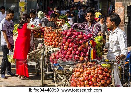 Fruit sellers, using bicycles, are offering apples and oranges on Indra Chowk market square, Kathmandu, Kathmandu District, Nepal, Asia View Large Photo Image Stock Image - Fruit sellers, using bicycles, are offering apples and oranges on Indra Chowk market square, Kathmandu, Kathmandu District, Nepal, Asia. Fotosearch