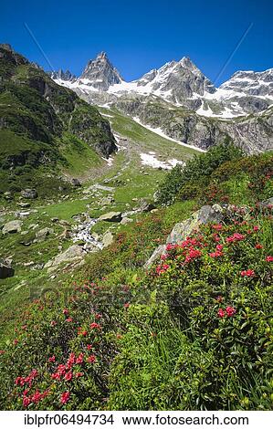 Picture - Fünffingerstöck, 2994m, Wendenhorn and Wasenhorn on the Sustenpass, Switzerland, Europe. Fotosearch