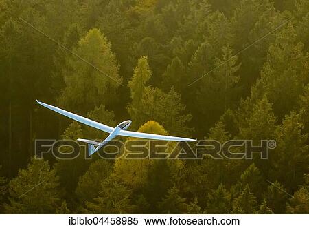Glider, two-seater, Duo Discus D-5443 over autumn forest, near Arnsberg, Ruhr district, North Rhine-Westphalia, Germany, Europe View Large Photo Image Stock Photography - Glider, two-seater, Duo Discus D-5443 over autumn forest, near Arnsberg, Ruhr district, North Rhine-Westphalia, Germany, Europe. Fotosearch