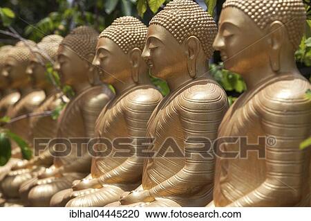 Golden Buddha statues, row of Seated Buddhas, Weherahena Temple, Matara, Southern Province, Sri Lanka, Asia View Large Photo Image Stock Image - Golden Buddha statues, row of Seated Buddhas, Weherahena Temple, Matara, Southern Province, Sri Lanka, Asia. Fotosearch