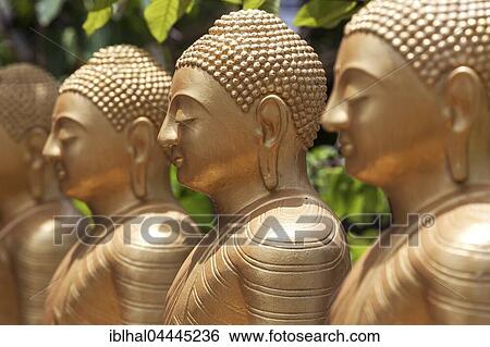 Stock Photograph - Golden Buddha statues, row of Seated Buddhas, Weherahena Temple, Matara, Southern Province, Sri Lanka, Asia. Fotosearch