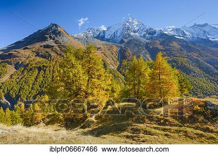 Grande Dent de Veisivi, Dent de Perroc, Aiguille de la Tsa, Valais, Switzerland, Europe View Large Photo Image Stock Photograph - Grande Dent de Veisivi, Dent de Perroc, Aiguille de la Tsa, Valais, Switzerland, Europe. Fotosearch