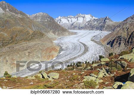 Great Aletsch Glacier and Wannenhorns, Valais, Switzerland, Europe View Large Photo Image Stock Image - Great Aletsch Glacier and Wannenhorns, Valais, Switzerland, Europe. Fotosearch