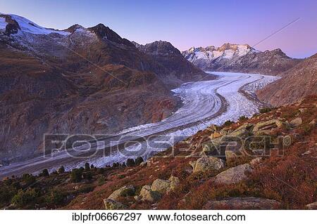 Stock Photo - Great Aletsch Glacier and Wannenhorns, Valais, Switzerland, Europe. Fotosearch