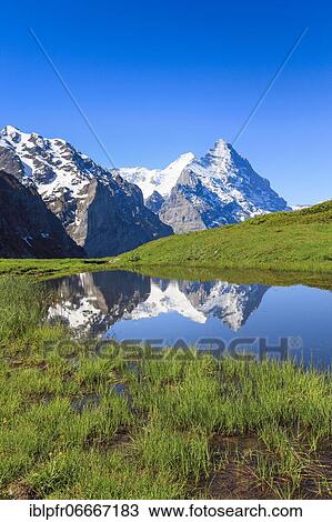 Stock Image - Große Scheidegg, Eiger and Mönch, Grindelwald, Switzerland, Europe. Fotosearch