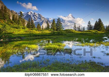 Große Scheidegg Passhöhe, Eiger, Mönch, Switzerland, Europe View Large Photo Image Stock Image - Große Scheidegg Passhöhe, Eiger, Mönch, Switzerland, Europe. Fotosearch