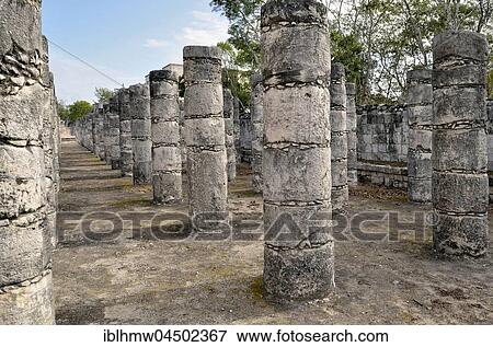 Grupo de las Mil Columnas, hall of the 1000 columns, columnata Oeste, historic Mayan city of Chichen Itza, Piste, Yucatan, Mexico, Central America View Large Photo Image Stock Photo - Grupo de las Mil Columnas, hall of the 1000 columns, columnata Oeste, historic Mayan city of Chichen Itza, Piste, Yucatan, Mexico, Central America. Fotosearch