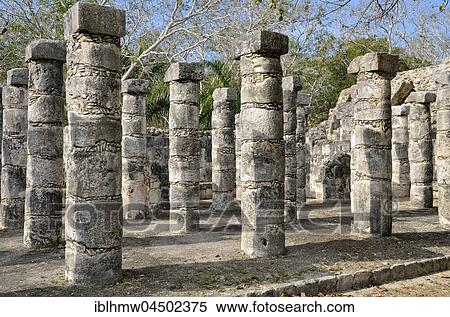 Grupo de las Mil Columnas, hall of the 1000 columns, columnata Oeste, historic Mayan city of Chichen Itza, Piste, Yucatan, Mexico, Central America View Large Photo Image Stock Photography - Grupo de las Mil Columnas, hall of the 1000 columns, columnata Oeste, historic Mayan city of Chichen Itza, Piste, Yucatan, Mexico, Central America. Fotosearch