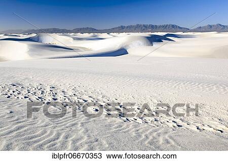 Gypsum Sand Dunes, White Sands National Monument, New Mexico, USA, North America View Large Photo Image Stock Image - Gypsum Sand Dunes, White Sands National Monument, New Mexico, USA, North America. Fotosearch