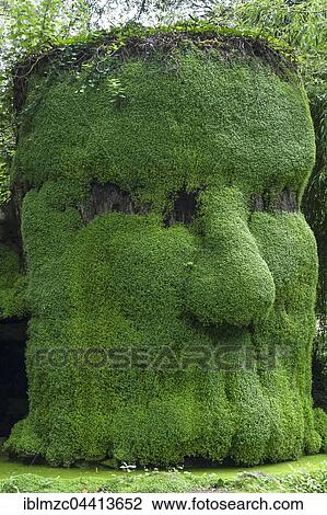 Head formed out of plants, Parc Floral et Tropical de la Court d'Aron, Saint Cyr en Talmondais, Vandee, France, Europe View Large Photo Image Stock Image - Head formed out of plants, Parc Floral et Tropical de la Court d'Aron, Saint Cyr en Talmondais, Vandee, France, Europe. Fotosearch