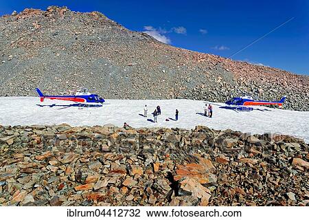 Helicopters and passengers on the Hochstetter Glacier, Mount Cook, Aoraki, Mount Cook National Park, New Zealand Alps, South Island, New Zealand, Oceania View Large Photo Image Stock Image - Helicopters and passengers on the Hochstetter Glacier, Mount Cook, Aoraki, Mount Cook National Park, New Zealand Alps, South Island, New Zealand, Oceania. Fotosearch