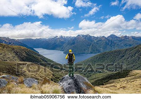 Stock Photograph - Hiker looks into the distance, view of the South Fiord of Lake Te Anau, Murchison Mountains in the background, on the Kepler Track, Great Walk, Fiordland National Park, Southland, New Zealand, Oceania. Fotosearch