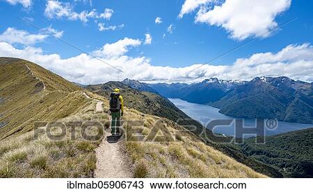 Hiker on trail, view of the South Fiord of Lake Te Anau, Murchison Mountains in the background, on the trail Kepler Track, Great Walk, Fiordland National Park, Southland, New Zealand, Oceania View Large Photo Image Stock Image - Hiker on trail, view of the South Fiord of Lake Te Anau, Murchison Mountains in the background, on the trail Kepler Track, Great Walk, Fiordland National Park, Southland, New Zealand, Oceania. Fotosearch