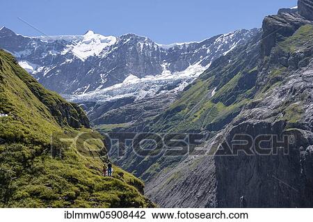 Stock Image - Hiking trail from Grindelwald to Schreckhornhütte, glacier Grindelwald-Fieschergletscher and summit of Walcherhorn, Bernese Oberland, Switzerland, Europe. Fotosearch