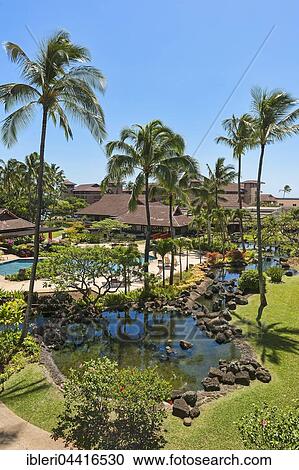 Hotel resort with pool and palm trees, Poipu, Koloa, Kaua' i, Hawaii, USA, North America View Large Photo Image Stock Image - Hotel resort with pool and palm trees, Poipu, Koloa, Kaua' i, Hawaii, USA, North America. Fotosearch