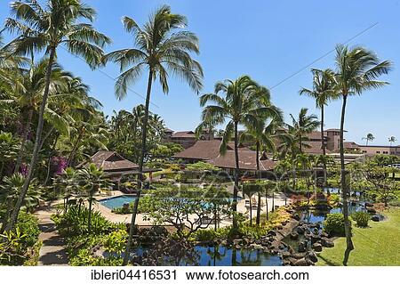 Hotel resort with pool and palm trees, Poipu, Koloa, Kaua' i, Hawaii, USA, North America View Large Photo Image Stock Image - Hotel resort with pool and palm trees, Poipu, Koloa, Kaua' i, Hawaii, USA, North America. Fotosearch