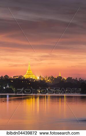 Illuminated Shwedagon Pagoda at sunset, The Great Dagon Pagoda, seen from Kandawgyi Lake, Yangon, Myanmar, Asia View Large Photo Image Stock Image - Illuminated Shwedagon Pagoda at sunset, The Great Dagon Pagoda, seen from Kandawgyi Lake, Yangon, Myanmar, Asia. Fotosearch