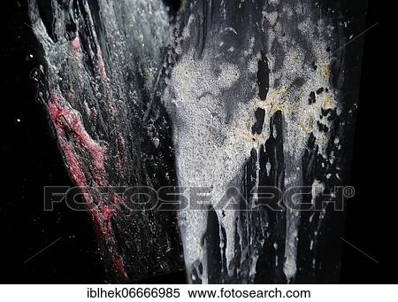 Insect mortality due to road traffic, macro photograph, car window, insects burst by impact on number plates of cars, Brandenburg, Germany, Europe View Large Photo Image Stock Photography - Insect mortality due to road traffic, macro photograph, car window, insects burst by impact on number plates of cars, Brandenburg, Germany, Europe. Fotosearch