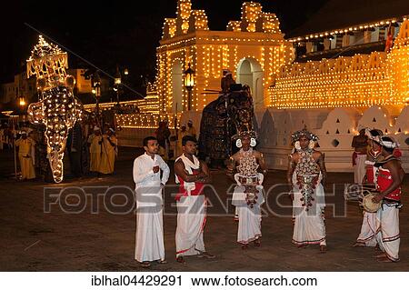Kandy Dancers and decorated elephants, Esala Perahera Buddhist festival, Sri Dalada Maligawa or Temple of the Sacred Tooth Relic, Kandy, Central Province, Sri Lanka, Asia View Large Photo Image Stock Image - Kandy Dancers and decorated elephants, Esala Perahera Buddhist festival, Sri Dalada Maligawa or Temple of the Sacred Tooth Relic, Kandy, Central Province, Sri Lanka, Asia. Fotosearch