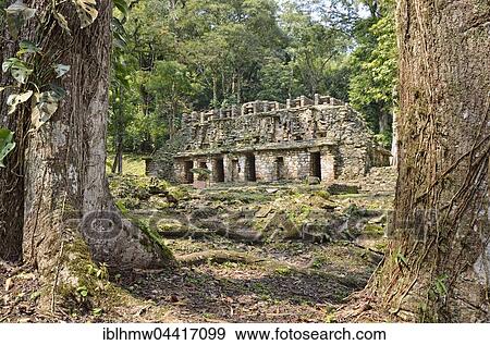 Labyrinth, Yaxchilan, ancient Mayan city, Usumacinta River, Mexico, Central America View Large Photo Image Stock Photo - Labyrinth, Yaxchilan, ancient Mayan city, Usumacinta River, Mexico, Central America. Fotosearch