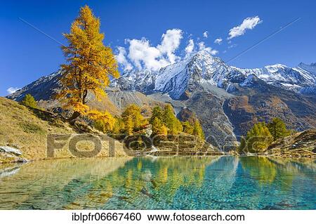 Lac Bleu, Dent de Perroc, Valais, Switzerland, Europe View Large Photo Image Stock Image - Lac Bleu, Dent de Perroc, Valais, Switzerland, Europe. Fotosearch
