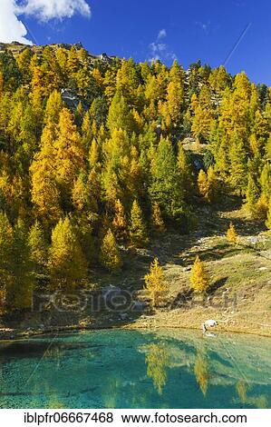 Lac Bleu, Valais, Switzerland, Europe View Large Photo Image Stock Photo - Lac Bleu, Valais, Switzerland, Europe. Fotosearch