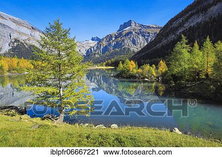 Stock Image - Lac de Derborence and Mont Gond, Valais, Switzerland, Europe. Fotosearch