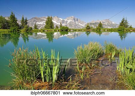 Stock Image - Lake Härzli with view of Rotsandnollen, Huetstock, Widderfeld Stock, Engelberg, Obwalden, Switzerland, Europe. Fotosearch