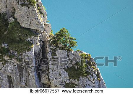 Lake Lucerne and rock face, Switzerland, Europe View Large Photo Image Stock Photo - Lake Lucerne and rock face, Switzerland, Europe. Fotosearch