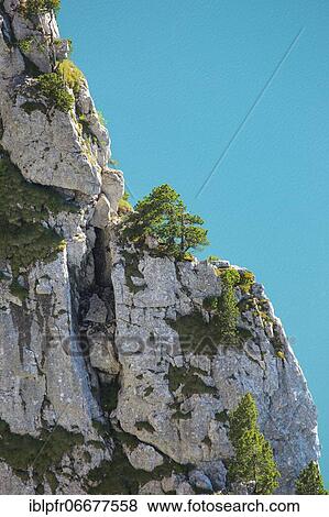 Lake Lucerne and rock face, Switzerland, Europe View Large Photo Image Stock Photo - Lake Lucerne and rock face, Switzerland, Europe. Fotosearch