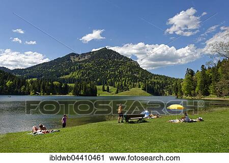 Lake Spitzingsee, shore, Upper Bavaria, Bavaria, Germany, Europe View Large Photo Image Stock Image - Lake Spitzingsee, shore, Upper Bavaria, Bavaria, Germany, Europe. Fotosearch