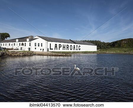 Laphroaig whiskey distillery, storehouse, Islay, Inner Hebrides, Scotland, United Kingdom, Europe View Large Photo Image Stock Image - Laphroaig whiskey distillery, storehouse, Islay, Inner Hebrides, Scotland, United Kingdom, Europe. Fotosearch
