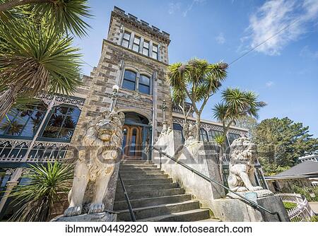 Larnach Castle, park and castle, Dunedin, Otago Peninsula, Southland, New Zealand, Oceania View Large Photo Image Stock Image - Larnach Castle, park and castle, Dunedin, Otago Peninsula, Southland, New Zealand, Oceania. Fotosearch