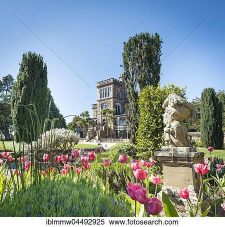 Larnach Castle, park and castle, Dunedin, Otago Peninsula, Southland, New Zealand, Oceania View Large Photo Image Stock Photography - Larnach Castle, park and castle, Dunedin, Otago Peninsula, Southland, New Zealand, Oceania. Fotosearch