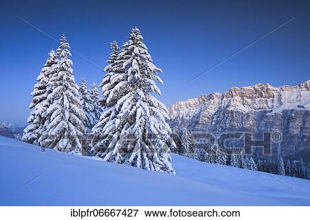 Leistchamm, St. Gallen, Switzerland, Europe View Large Photo Image Stock Photo - Leistchamm, St. Gallen, Switzerland, Europe. Fotosearch