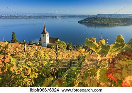 Ligerz on Lake Biel, Bern, Switzerland, Europe View Large Photo Image Picture - Ligerz on Lake Biel, Bern, Switzerland, Europe. Fotosearch