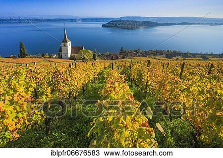 Stock Image - Ligerz on Lake Biel, Bern, Switzerland, Europe. Fotosearch