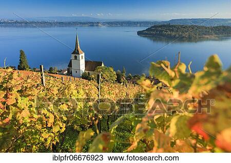 Ligerz on Lake Biel, Bern, Switzerland, Europe View Large Photo Image Stock Image - Ligerz on Lake Biel, Bern, Switzerland, Europe. Fotosearch