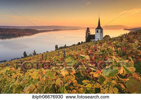 Stock Image - Ligerz on Lake Biel, Bern, Switzerland, Europe. Fotosearch