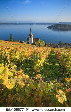 Stock Image - Ligerz on Lake Biel, Bern, Switzerland, Europe. Fotosearch