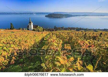 Ligerz on Lake Biel, Bern, Switzerland, Europe View Large Photo Image Stock Photo - Ligerz on Lake Biel, Bern, Switzerland, Europe. Fotosearch