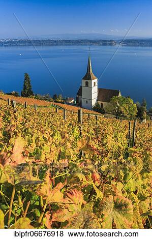 Stock Photo - Ligerz on Lake Biel, Bern, Switzerland, Europe. Fotosearch