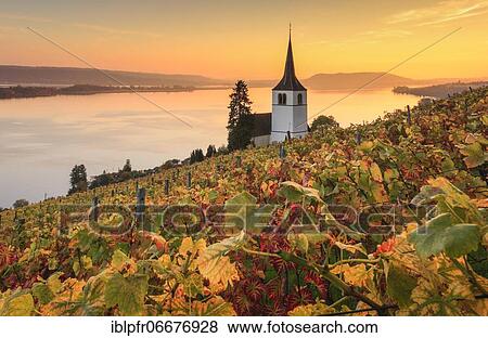 Ligerz on Lake Biel, Bern, Switzerland, Europe View Large Photo Image Stock Photo - Ligerz on Lake Biel, Bern, Switzerland, Europe. Fotosearch