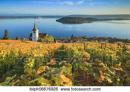 Ligerz on Lake Biel, Bern, Switzerland, Europe View Large Photo Image Stock Photograph - Ligerz on Lake Biel, Bern, Switzerland, Europe. Fotosearch