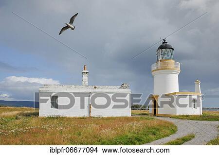 Lighthouse at Chanonry Point, Scotland, Great Britain View Large Photo Image Picture - Lighthouse at Chanonry Point, Scotland, Great Britain. Fotosearch