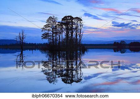 Picture - Loch Mallachie, Cairngorms NP, Scotland, Great Britain. Fotosearch